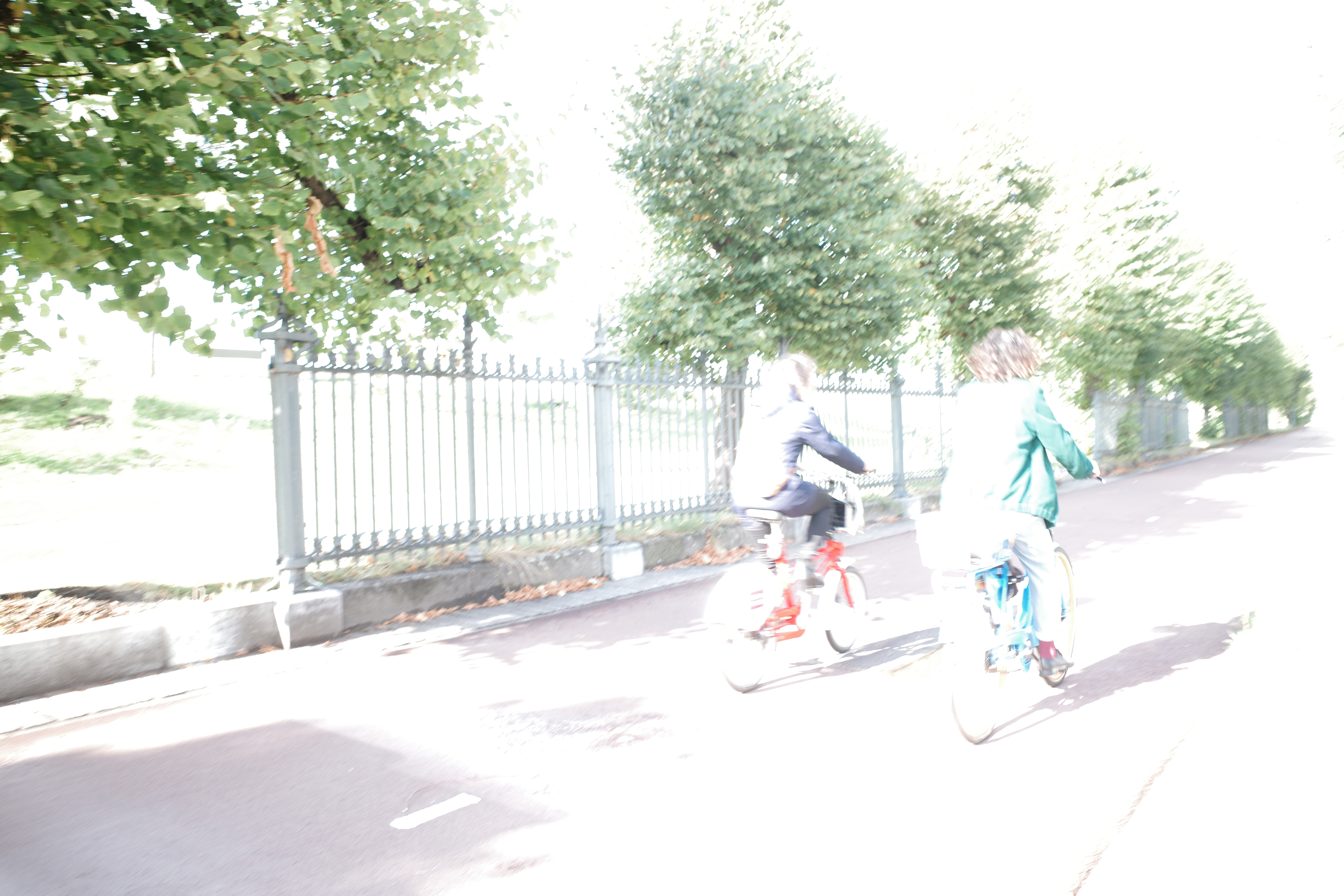Two cyclists moving through an overexposed tree-lined street