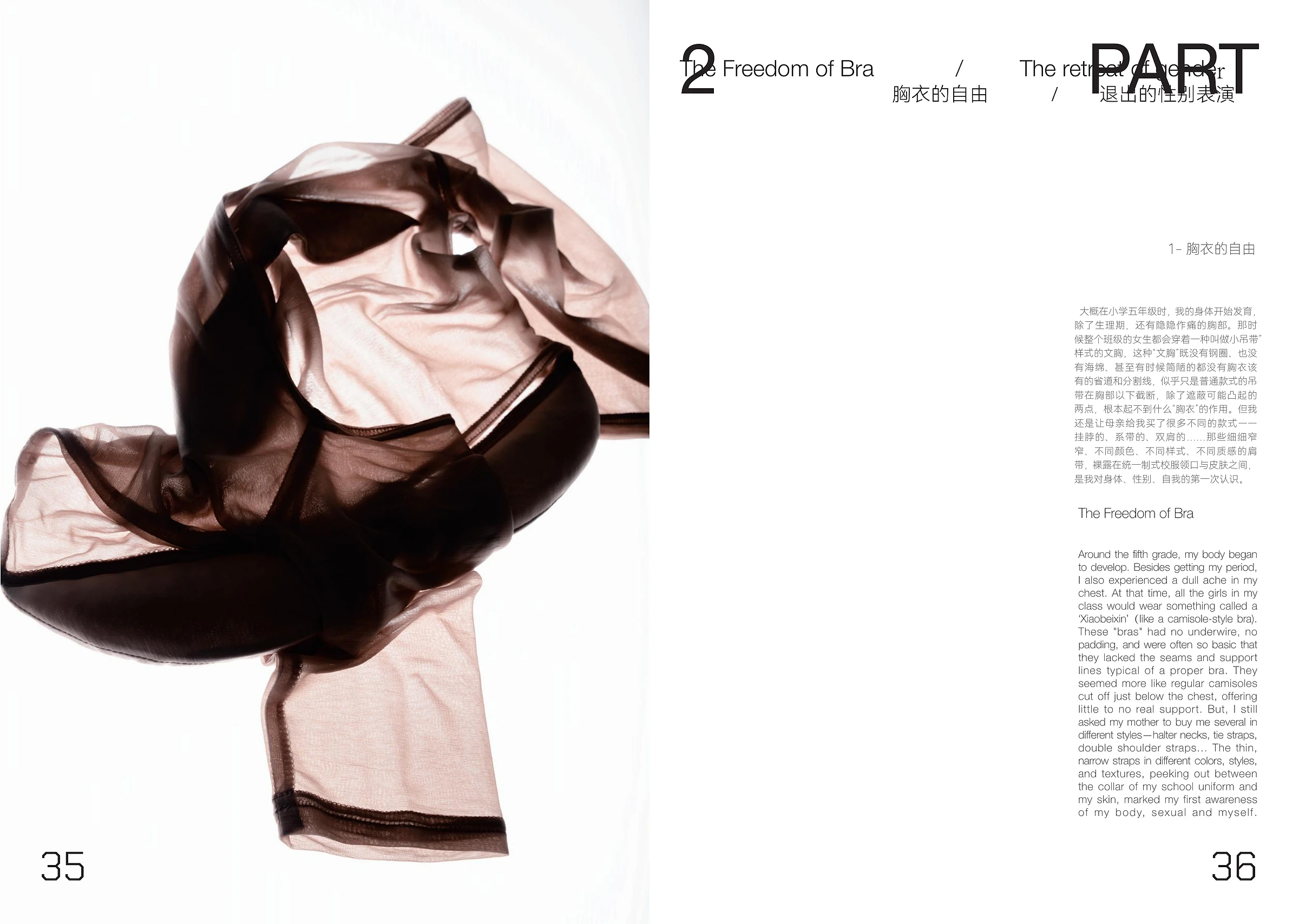 除了 issue 0 pages 35 and 36